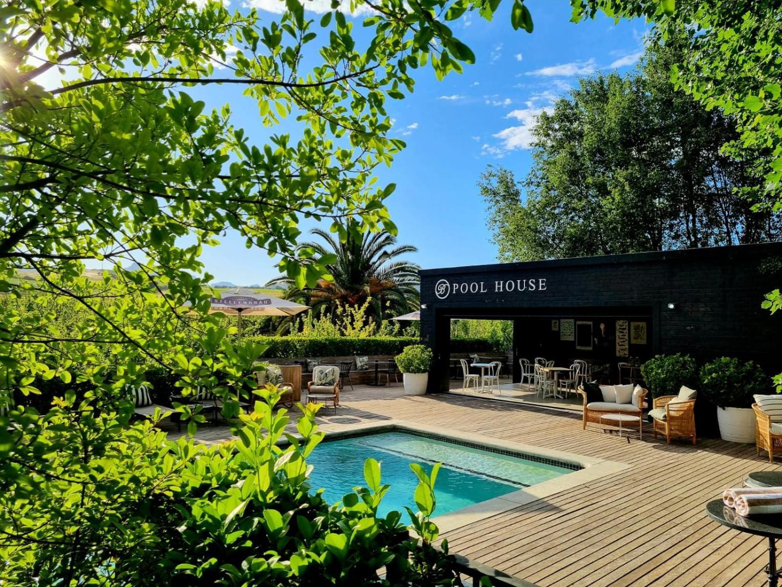 Hotel Brenaissance Wine & Stud Estate Stellenbosch Zewnętrze zdjęcie