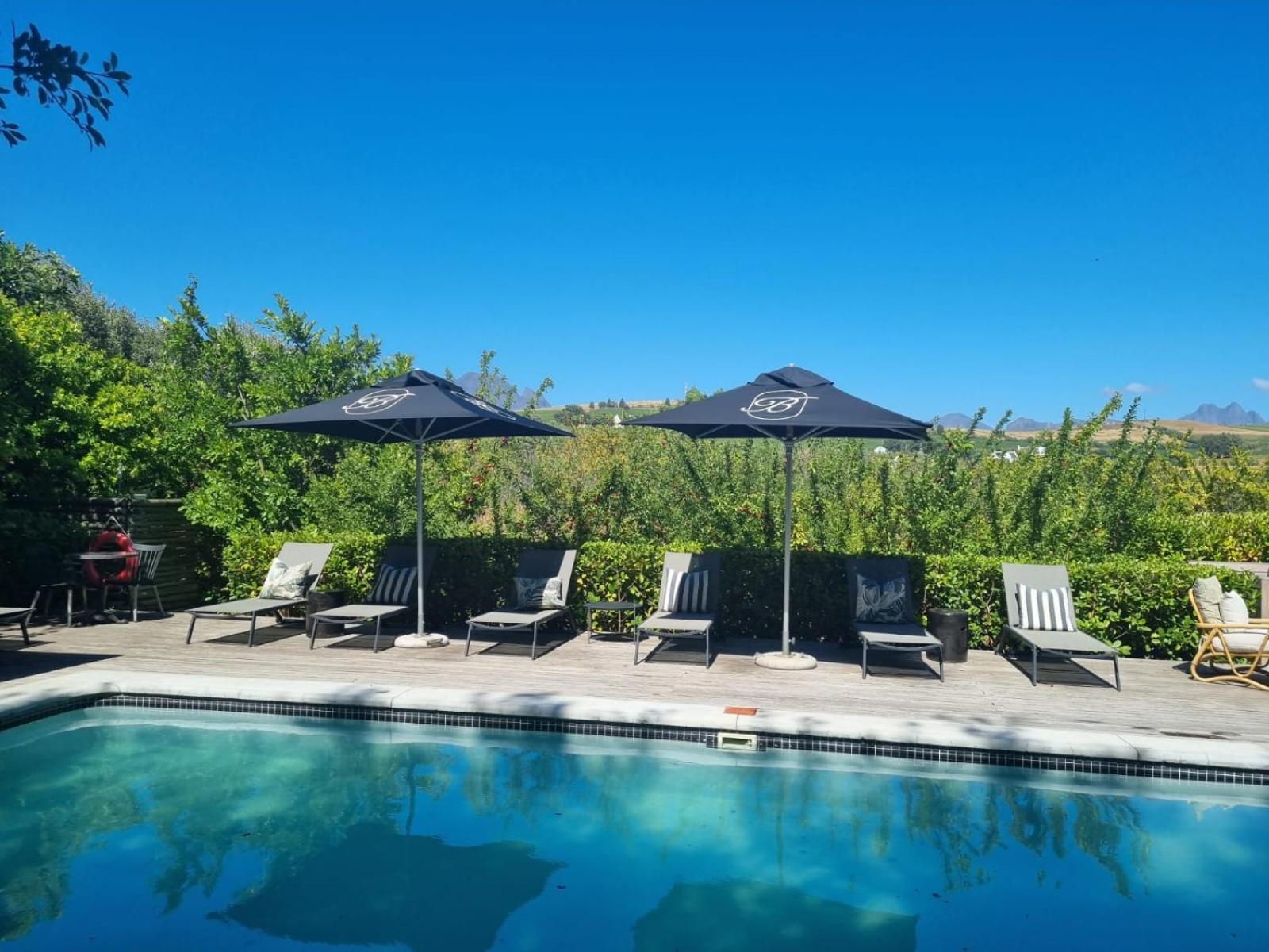 Hotel Brenaissance Wine & Stud Estate Stellenbosch Zewnętrze zdjęcie