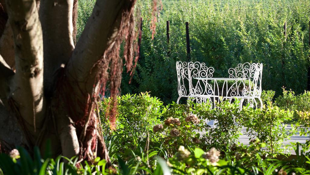 Hotel Brenaissance Wine & Stud Estate Stellenbosch Zewnętrze zdjęcie