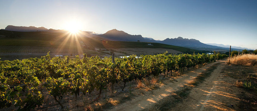 Hotel Brenaissance Wine & Stud Estate Stellenbosch Zewnętrze zdjęcie