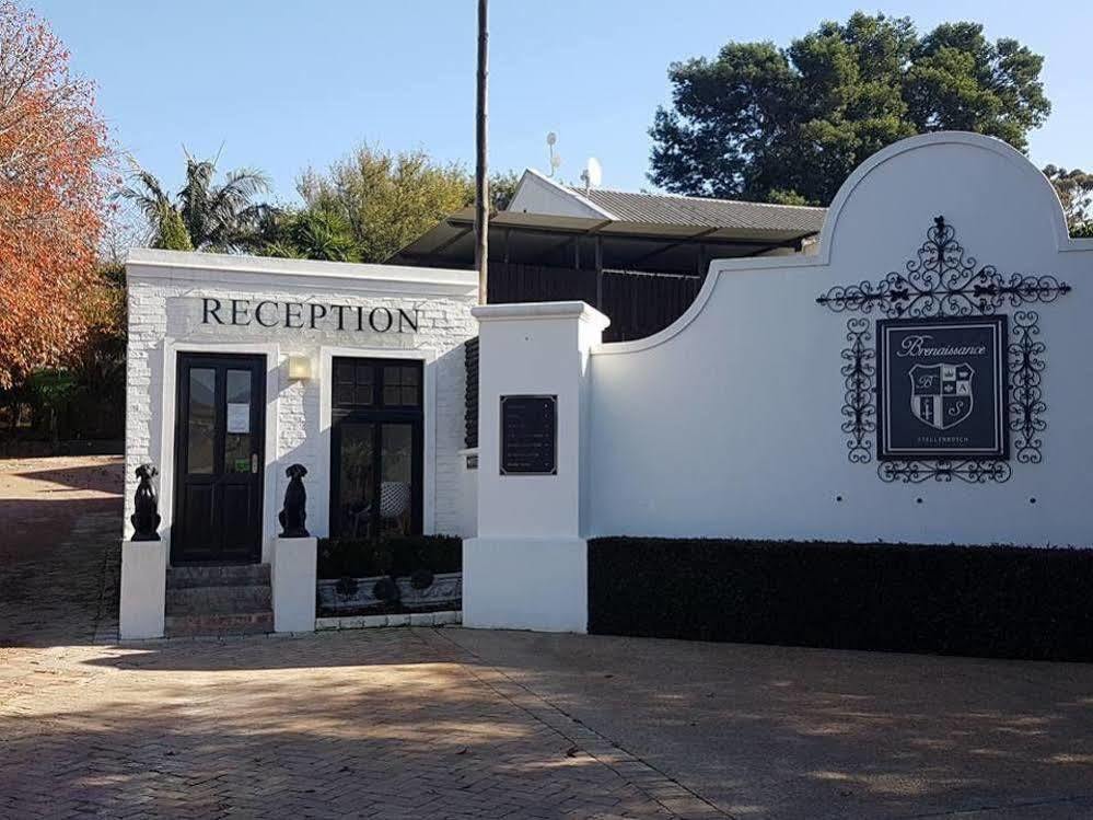 Hotel Brenaissance Wine & Stud Estate Stellenbosch Zewnętrze zdjęcie