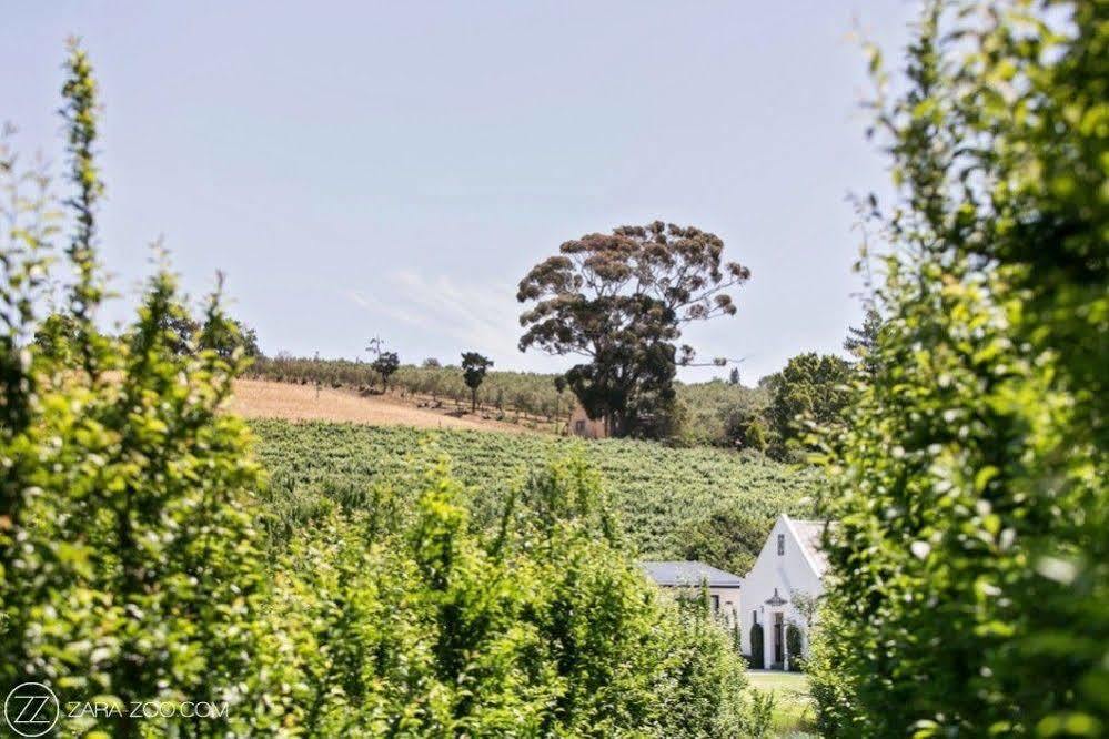 Hotel Brenaissance Wine & Stud Estate Stellenbosch Zewnętrze zdjęcie