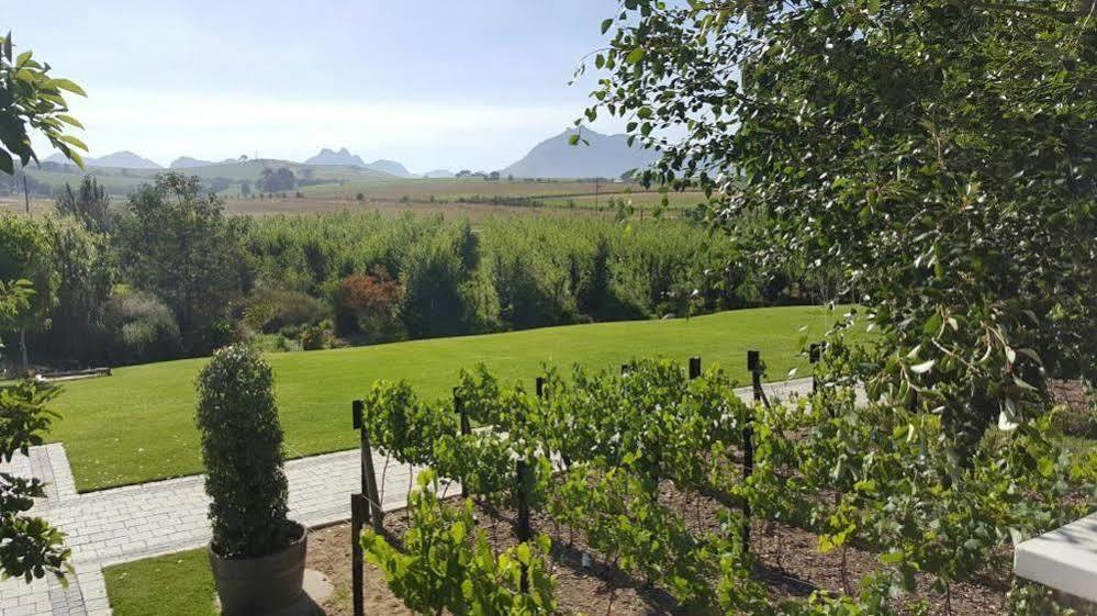 Hotel Brenaissance Wine & Stud Estate Stellenbosch Zewnętrze zdjęcie